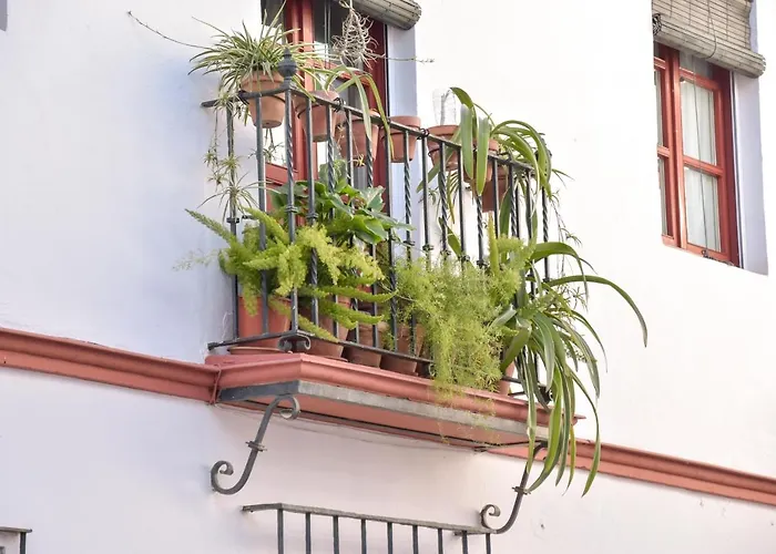 Quiet Typical Patio & Terrace *